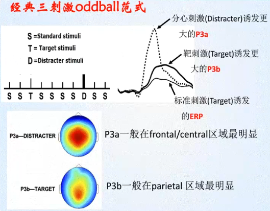 经典三刺激Oddball范式