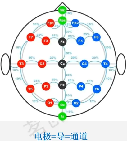 脑电电极 