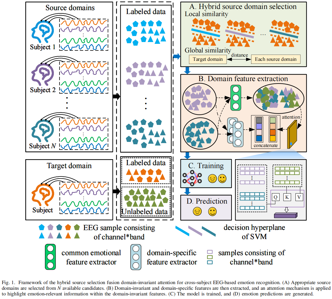 Relation between SNN and biological system 
